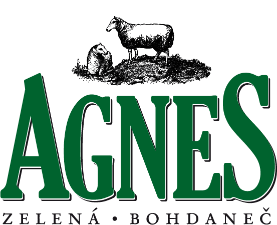 logo_Agnes
